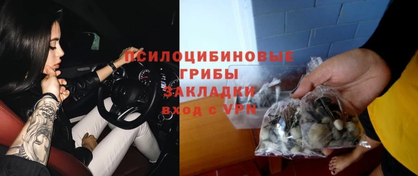 ПСИЛОЦИБИНОВЫЕ ГРИБЫ Остров