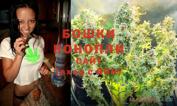 амф Осинники