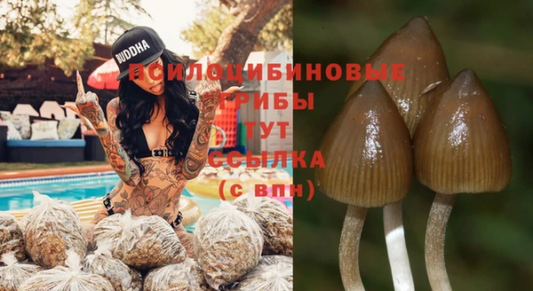 амф Осинники