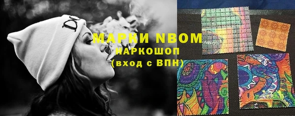 ГАЛЛЮЦИНОГЕННЫЕ ГРИБЫ Осташков