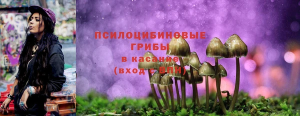 амф Осинники