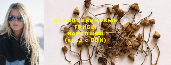 амф Осинники