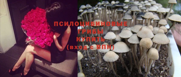 ПСИЛОЦИБИНОВЫЕ ГРИБЫ Остров