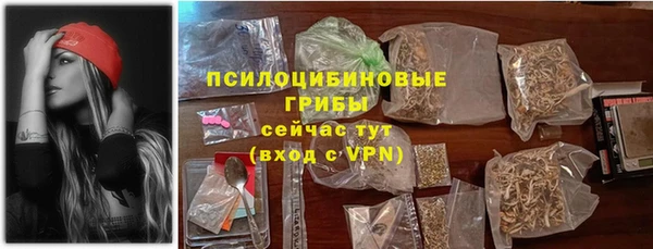 spice Няндома